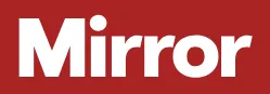 Mirror logo