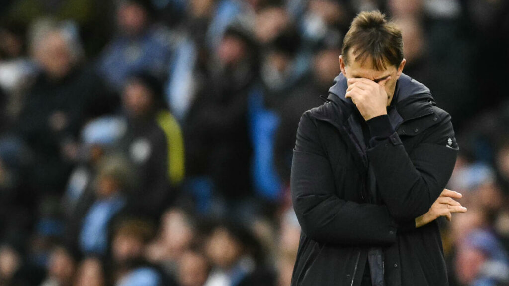 West Ham manager Julen Lopetegui in disbelief